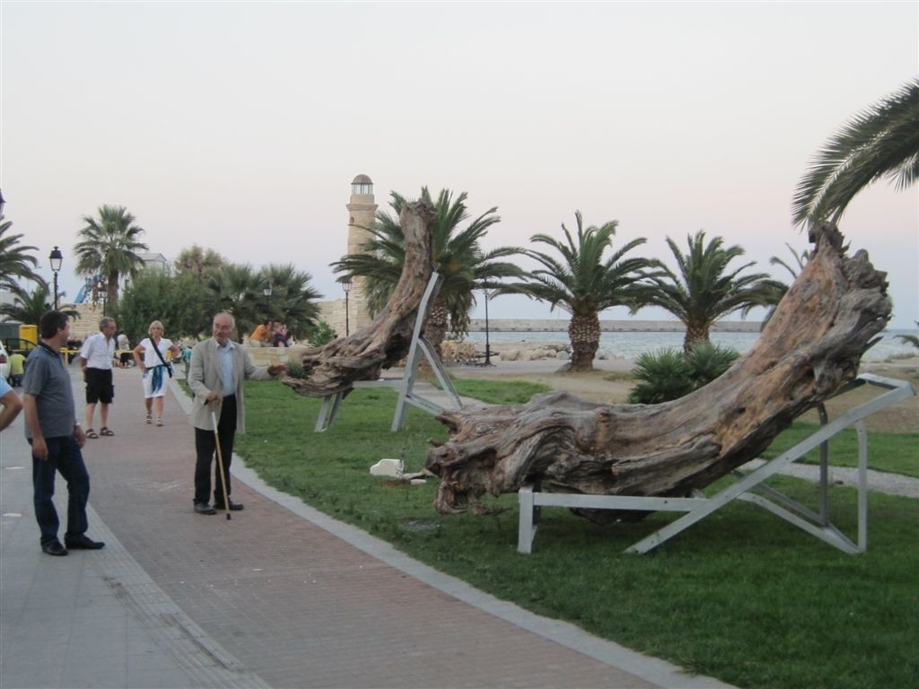 Κορμοί υπεραιωνόβιου ελαιόδεντρου στον παραλιακό του Ρεθύμνου